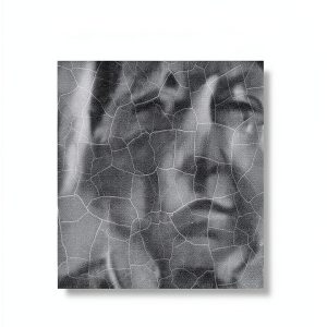 Новое литературное обозрение Political Biography Kindle Edition-0